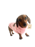 Load image into Gallery viewer, Dachshund Snuggle Fleece - Blush Pink
