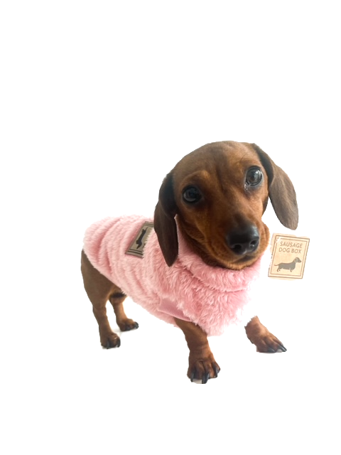 Dachshund Snuggle Fleece - Blush Pink