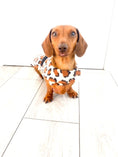 Load image into Gallery viewer, Sausage Dog Box Designer Fleece Waterproof 'Leopard' Dachshund Coat
