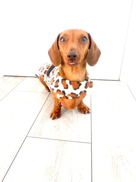 Sausage Dog Box Designer Fleece Waterproof 'Leopard' Dachshund Coat