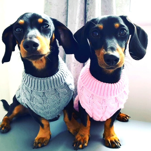 Sausage Dog Box Cosy Candyfloss Pink Cable Knit Dachshund Jumper