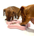 Load image into Gallery viewer, Sausage Dog Box Hexagon Anxiety Treat Puzzle
