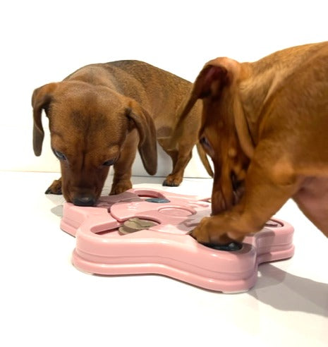Sausage Dog Box Hexagon Anxiety Treat Puzzle