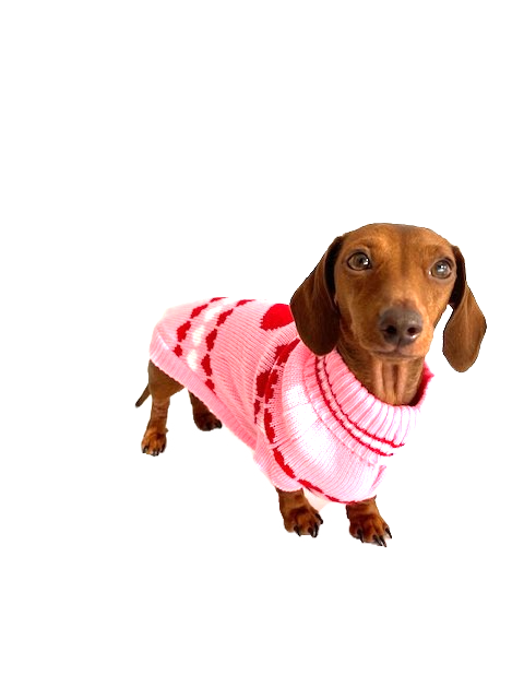 Sausage Dog Box Dachshund ‘Be Mine’ Love Heart Pink Jumper