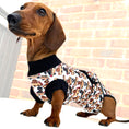 Load image into Gallery viewer, Antibacterial Dachshund Dog Surgery Suit | Sausage Dog Recovery / Allergy Outfit
