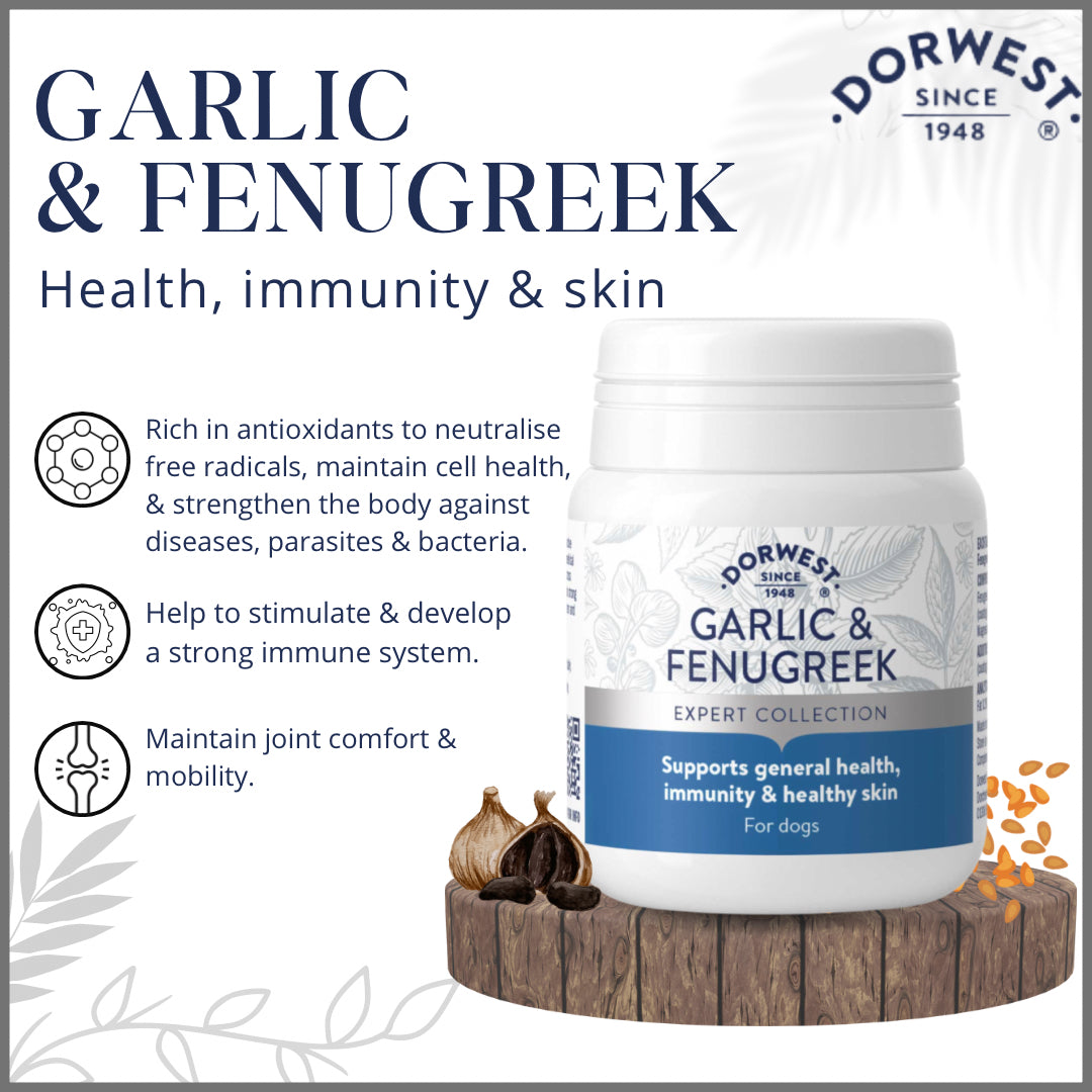 Dorwest Garlic & Fenugreek Immunity Tablets Supplements For Dogs