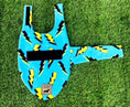 Load image into Gallery viewer, Sausage Dog Box Designer Fleece Waterproof 'Lightning Bolt' Coat
