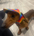 Load image into Gallery viewer, Sausage Dog Box Summer Sun Hat
