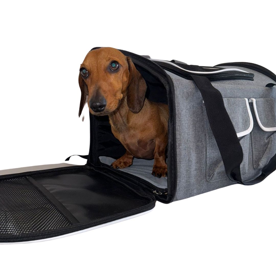 Sausage Dog Box Adventure Dachshund Backpack Carrier Airline Approved Holdall