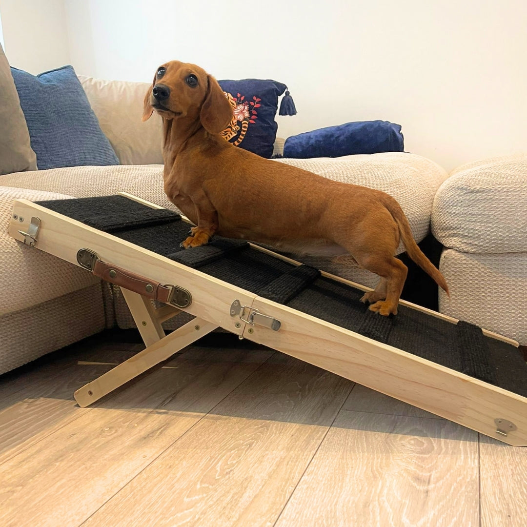 Sausage Dog Box Dachshund Ramp - High Sofa or Bed Wooden Daxie Ramp