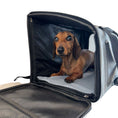 Load image into Gallery viewer, Sausage Dog Box Adventure Dachshund Backpack Carrier Airline Approved Holdall
