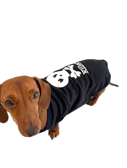 Sausage Dog Box Killer Vest