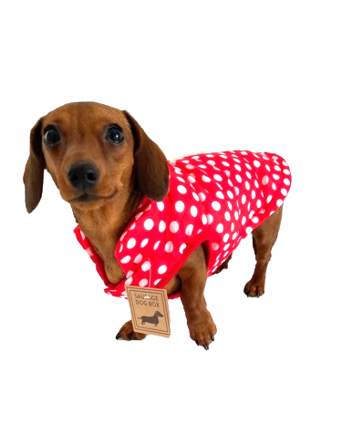 Sausage Dog Box Polka Puffer Coat