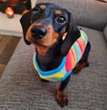 Load image into Gallery viewer, PJ's/Jumper - Colourful Caterpillar
