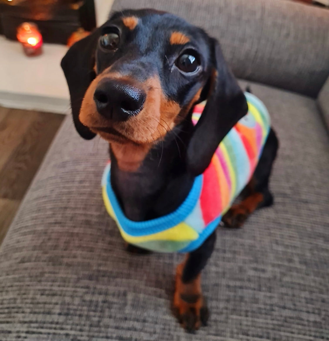 PJ's/Jumper - Colourful Caterpillar