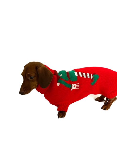 Sausage Dog Box Dachshund Christmas Elf Jumper