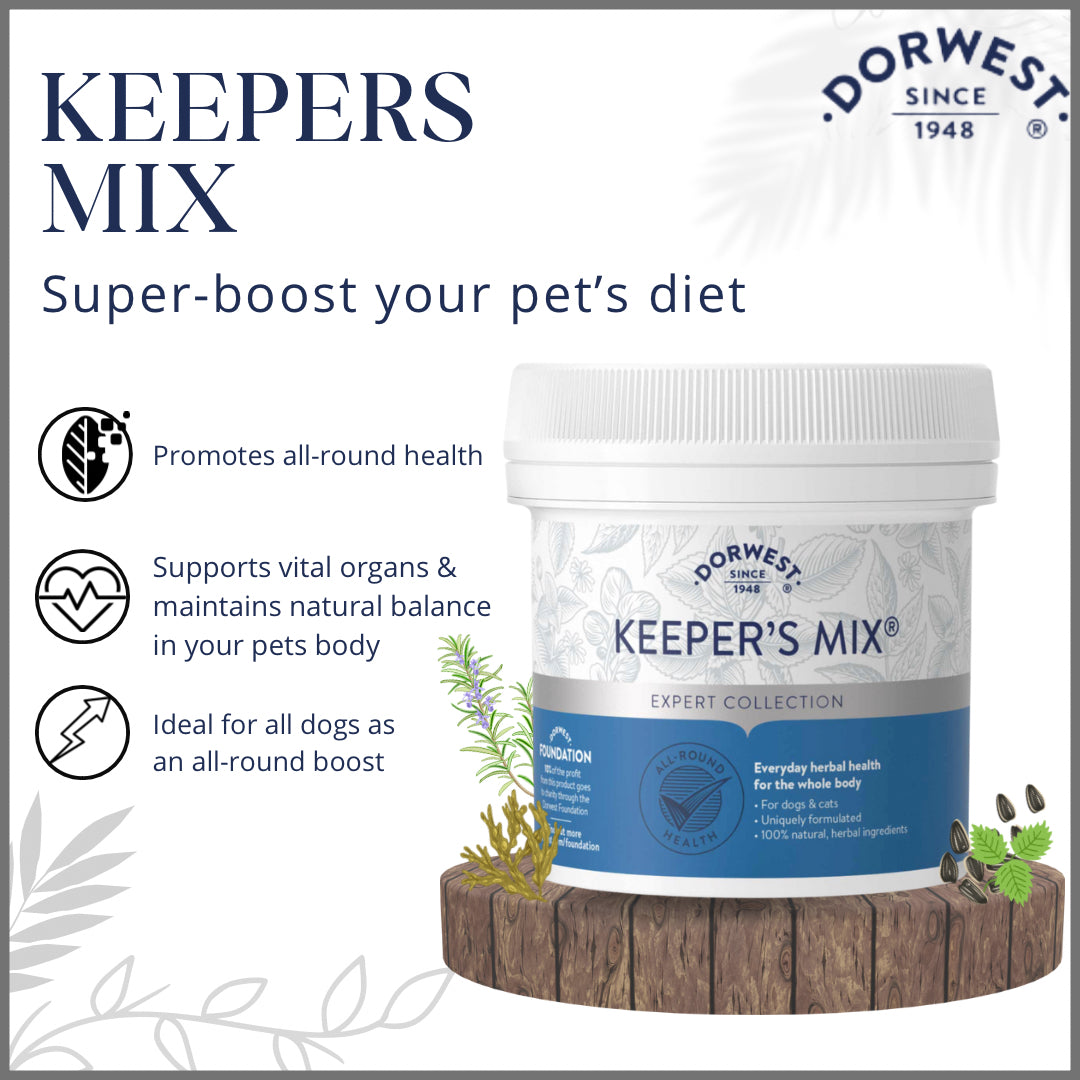 Dorwest Keepers Mix - Super-boot Dachshund’s Diet