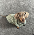 Load image into Gallery viewer, Forest Moss Luxury Cable Knit Dachshund Jumper - Sausage Dog Box
