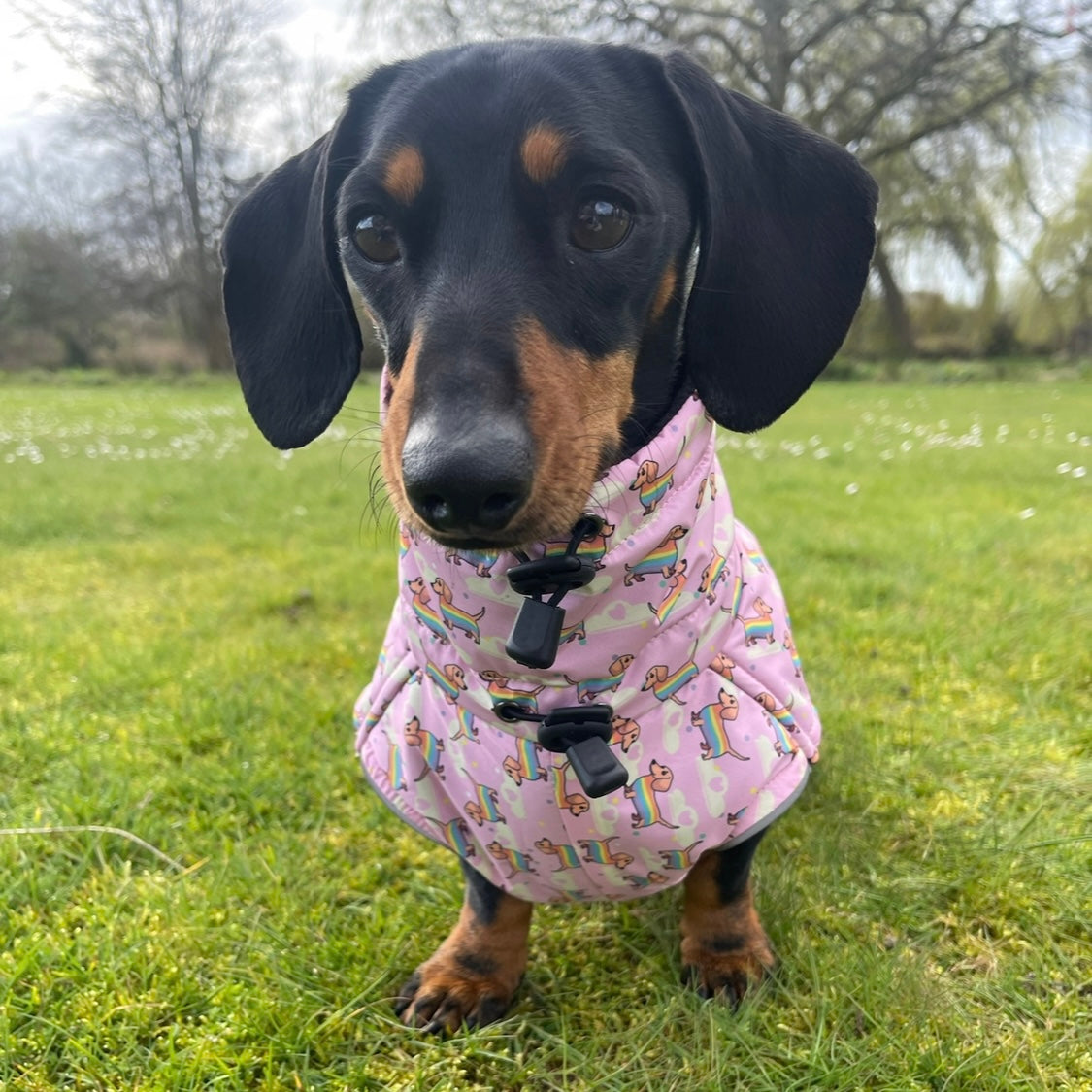 Chasing Rainbows Pink Polartec Fleece Waterproof Dachshund Coat Sausage Dog