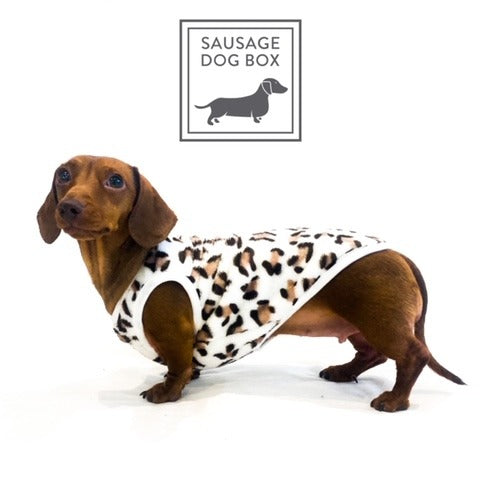 Sausage Dog Box, Dachshund Leopard Cute Cosy Dachshund PJ's Jumper