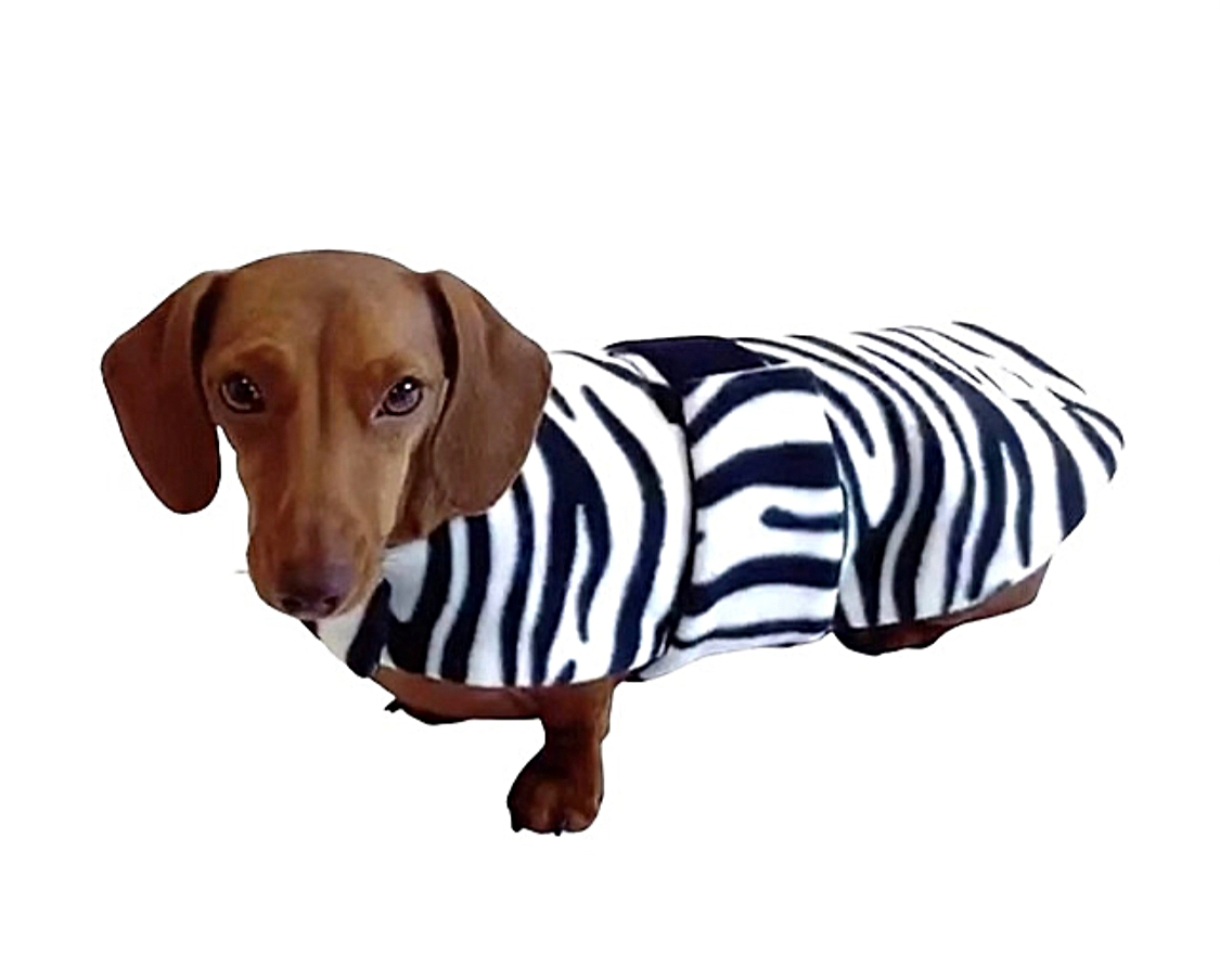 Sausage Dog Box Designer Fleece Waterproof 'Zebra' Dachshund Coat
