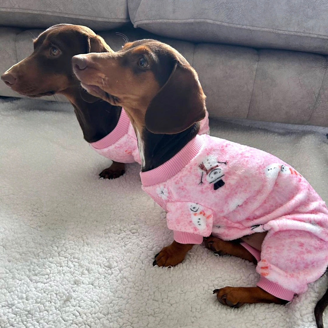 Snow Cute Dachshund Christmas PJ Onesie Outfit - Pink