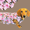 Load image into Gallery viewer, Howdy Cowgirl 'Dach-A-Mac' Dachshund Rain Mac In Bag
