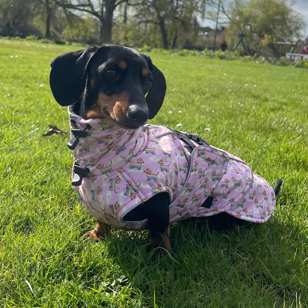 Chasing Rainbows Pink Polartec Fleece Waterproof Dachshund Coat Sausage Dog