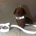 Load image into Gallery viewer, Reflective Flashing Collar - Glow Getter
