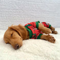 Load image into Gallery viewer, Merry Slothmas Dachshund Christmas Pj Onesie Outfit
