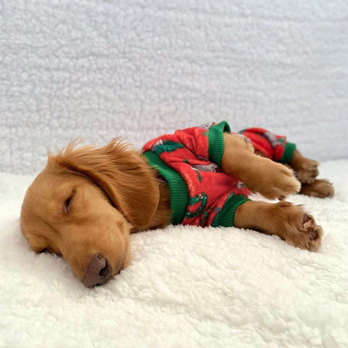 Merry Slothmas Dachshund Christmas Pj Onesie Outfit