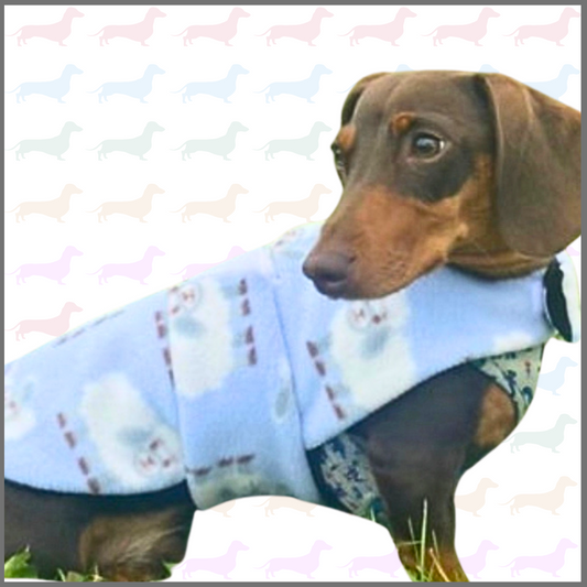 Sausage Dog Box Designer Fleece Waterproof 'Bahbah' Sheep Dachshund Coat