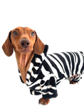 Load image into Gallery viewer, CLEARANCE - Sausage Dog Box Dachshund Zebra Outfit
