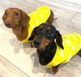 Load image into Gallery viewer, Sausage Dog Box, Dachshund Yellow Bear Fleece PJ's/Jumper
