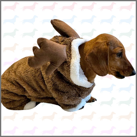 Dachshund ‘Baby Reindeer’ Onesie Outfit/Costume