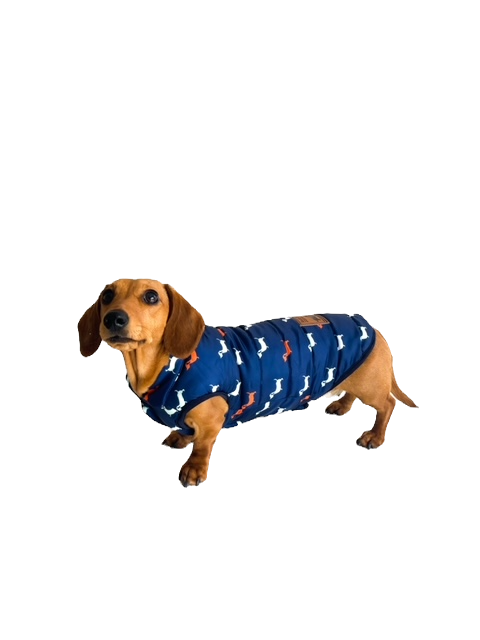 Sausage Dog Box Dachshund Navy Print Fleece Puffer Coat