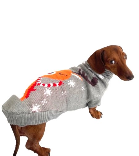 Sausage Dog Box Dachshund Reindeer Christmas Jumper