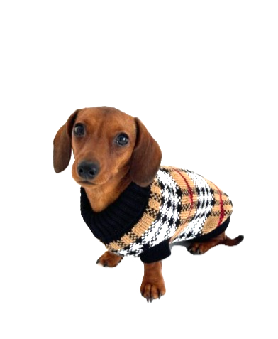 Sausage Dog Box Dachshund Chequered Jumper
