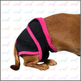 Load image into Gallery viewer, Sausage Dog Box Dog Season Knickers/Pants
