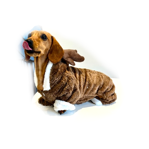 Dachshund ‘Baby Reindeer’ Onesie Outfit/Costume