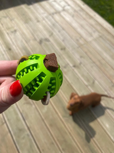 Sausage Dog Box Extra Tough Rubber Treat Ball Toy