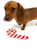 Load image into Gallery viewer, Sausage Dog Box Christmas Candy Cane Rope Toy
