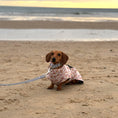 Load image into Gallery viewer, Warm Waterproof Dachshund Coat - Saucy Sausage Raincoat In Hot Dog Design
