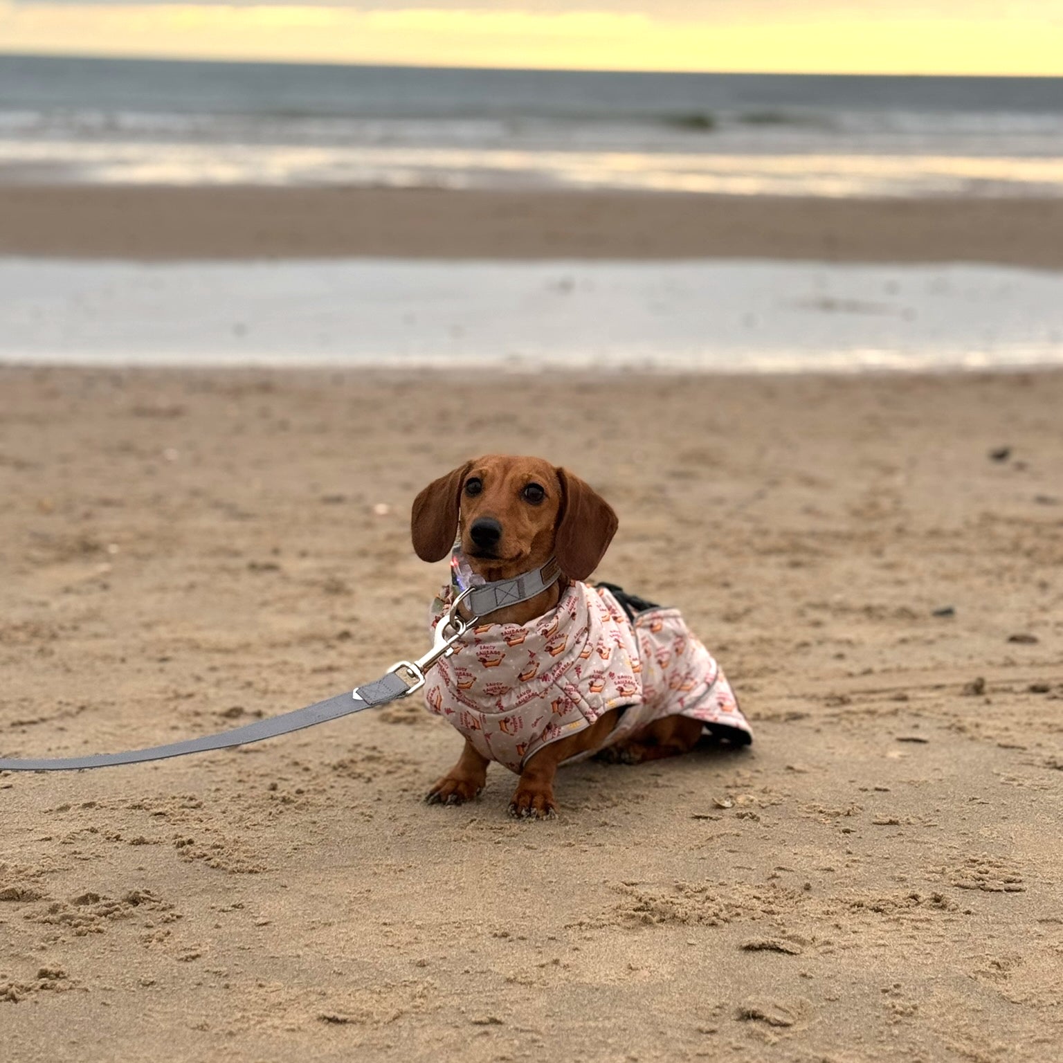 Warm Waterproof Dachshund Coat - Saucy Sausage Raincoat In Hot Dog Design