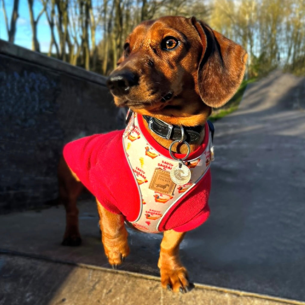 Adjustable Harness - Saucy Sausage