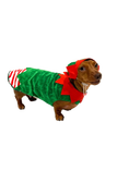 Load image into Gallery viewer, Sausage Dog Box Christmas Elf Outfit
