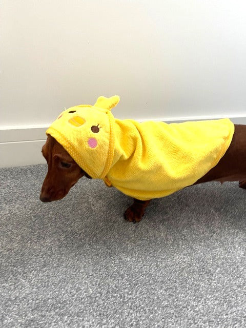 Sausage Dog Box Dachshund Duckie Towel