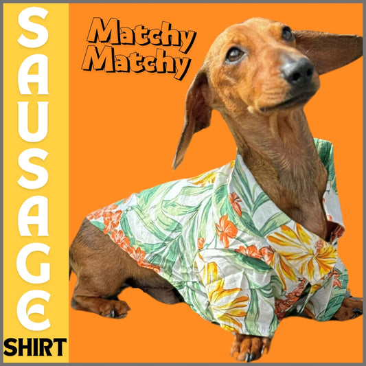 Sausage Dog Box Dachshund Dog Hawaiian Shirt
