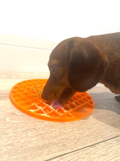 Sausage Dog Box Lick Mat