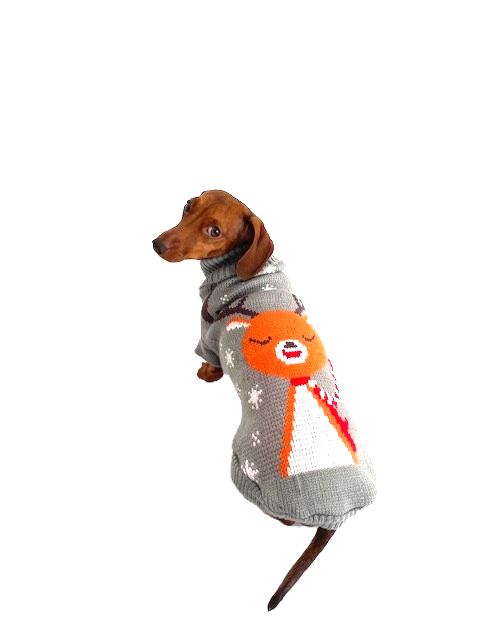 Sausage Dog Box Dachshund Reindeer Christmas Jumper